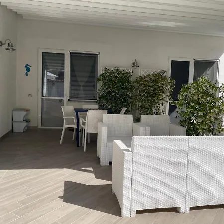 Spring Apartment Meta